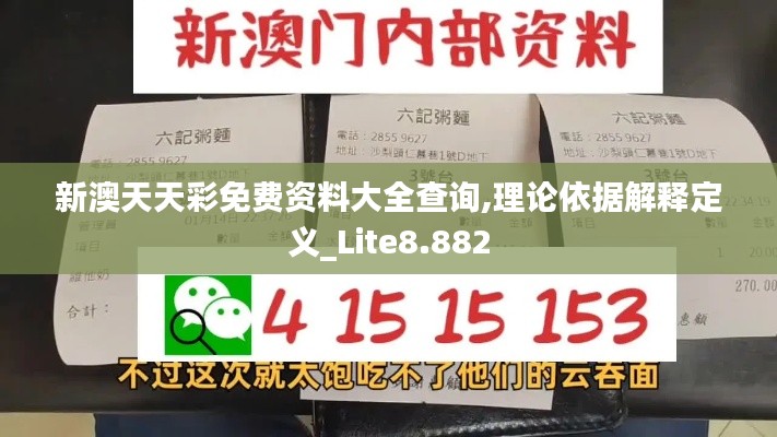 新澳天天彩免費資料大全查詢,理論依據(jù)解釋定義_Lite8.882