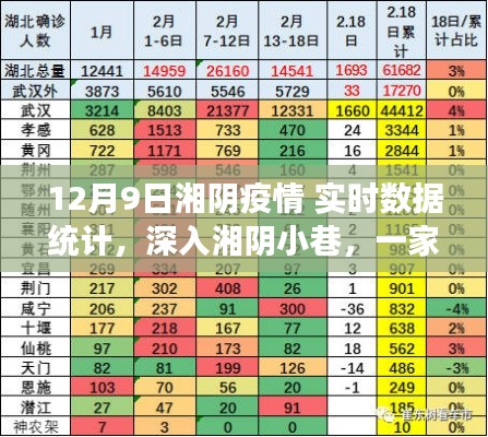 湘陰疫情實時觀察，特色小店魅力與疫情數(shù)據(jù)深度解析