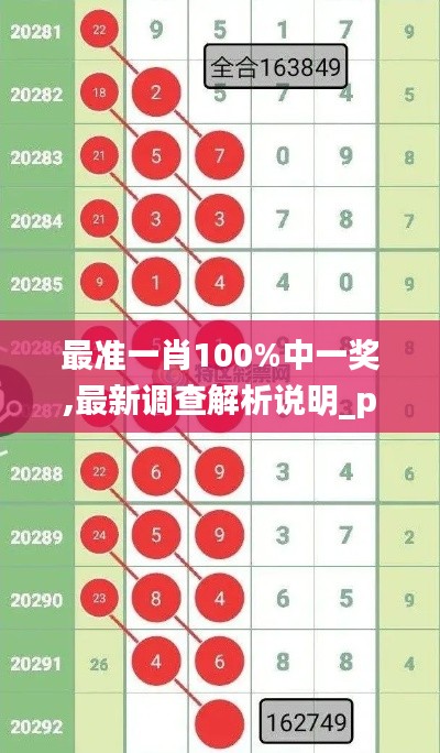 最準(zhǔn)一肖100%中一獎(jiǎng),最新調(diào)查解析說(shuō)明_pack5.463