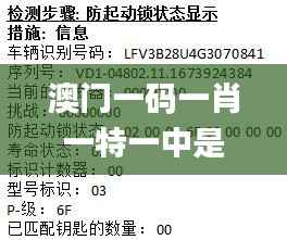 澳門一碼一肖一特一中是合法的嗎,深入數(shù)據(jù)解釋定義_領航版4.972