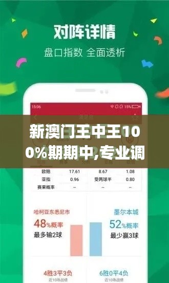 新澳門王中王100%期期中,專業(yè)調(diào)查解析說明_Tablet6.653