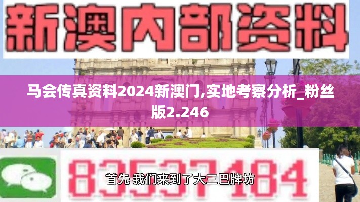 馬會傳真資料2024新澳門,實地考察分析_粉絲版2.246