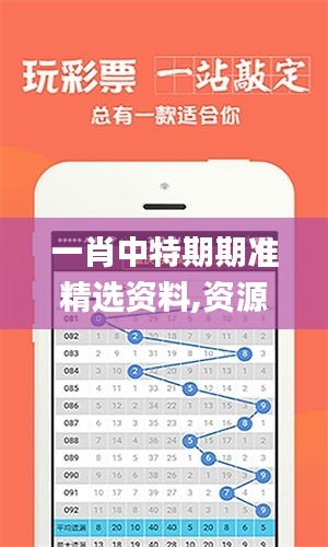 一肖中特期期準精選資料,資源策略實施_3D4.169