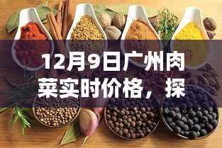 探秘廣州小巷深處的鮮味秘境，12月9日肉菜實(shí)時(shí)價(jià)格揭秘