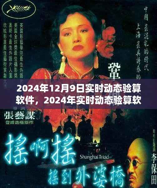 2024年實時動態(tài)驗算軟件使用指南，初學(xué)者與進(jìn)階用戶必備