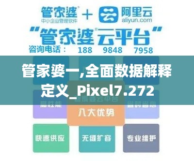 管家婆一,全面數(shù)據(jù)解釋定義_Pixel7.272