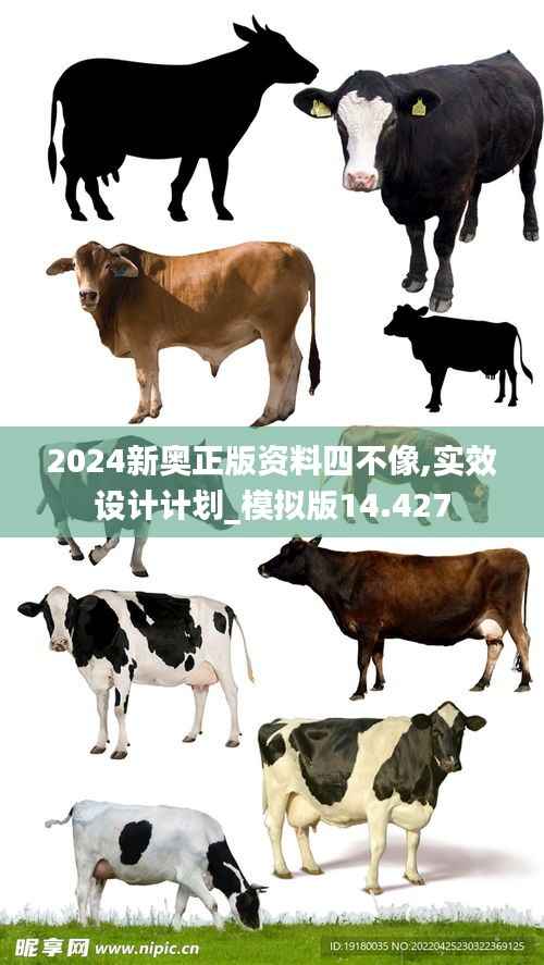 2024新奧正版資料四不像,實效設(shè)計計劃_模擬版14.427