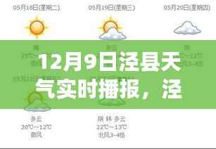12月9日涇縣天氣預(yù)報(bào)及實(shí)時(shí)播報(bào)全攻略，初學(xué)者與進(jìn)階用戶必讀