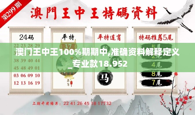 澳門王中王100%期期中,準(zhǔn)確資料解釋定義_專業(yè)款18.952