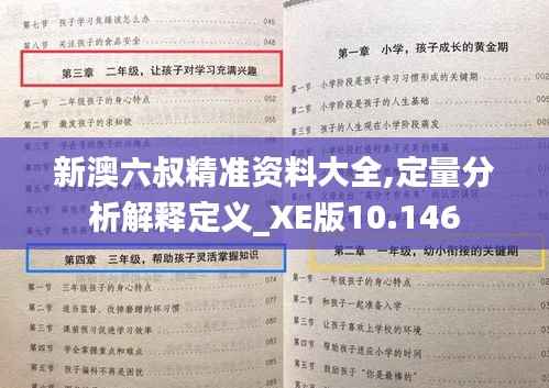 新澳六叔精準(zhǔn)資料大全,定量分析解釋定義_XE版10.146