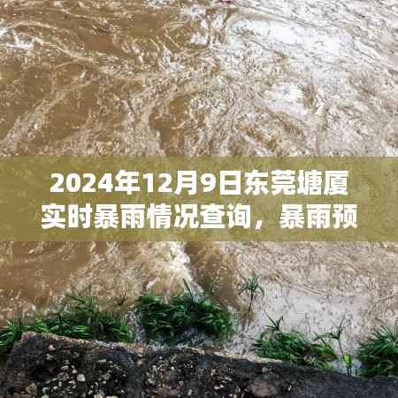 東莞塘廈暴雨預警！實時天氣查詢及應對暴雨情況的詳細指南（初學者與進階用戶必備）