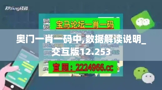 奧門一肖一碼中,數(shù)據(jù)解讀說明_交互版12.253