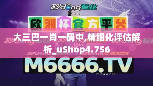 大三巴一肖一碼中,精細(xì)化評估解析_uShop4.756