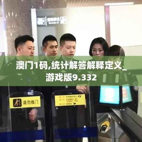 澳門1碼,統(tǒng)計(jì)解答解釋定義_游戲版9.332