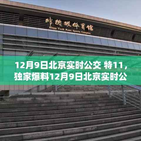 獨(dú)家爆料，揭秘北京實(shí)時(shí)公交特11出行秘籍，輕松掌握公交動態(tài)！