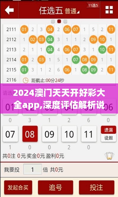 2024澳門天天開好彩大全app,深度評(píng)估解析說明_定制版1.232