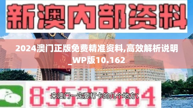 2024澳門正版免費(fèi)精準(zhǔn)資料,高效解析說(shuō)明_WP版10.162