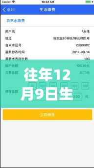 智能生活繳費系統(tǒng)下的實時電費監(jiān)控，重塑日常繳費體驗，往年12月9日電費實時顯示新紀元