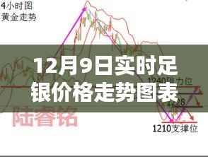 揭秘，12月9日實時足銀價格走勢及分析圖表呈現(xiàn)！