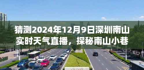 建議，探秘南山小巷，深圳南山實(shí)時(shí)天氣直播之旅