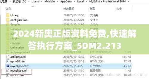 2024新奧正版資料免費,快速解答執(zhí)行方案_5DM2.213