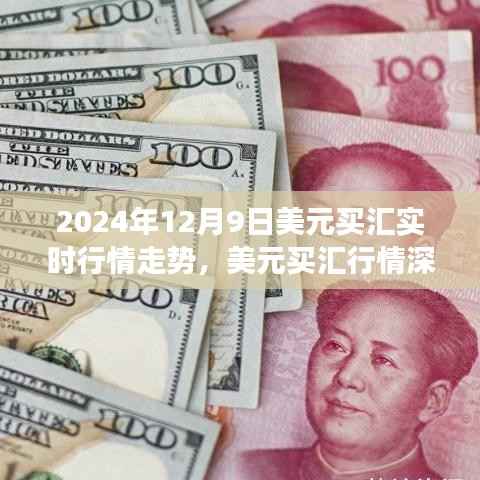 獨(dú)家解析，2024年12月9日美元買匯行情深度解析與匯率風(fēng)云影響