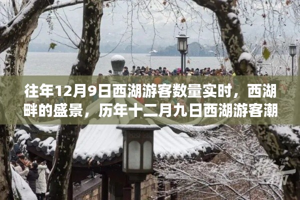 歷年12月9日西湖游客盛景紀(jì)實(shí)，湖畔潮涌的壯麗畫(huà)卷