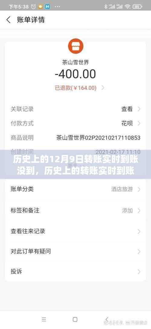 歷史上的轉(zhuǎn)賬實(shí)時(shí)到賬問(wèn)題解析與解決指南，以12月9日轉(zhuǎn)賬為例，全面解析未達(dá)原因及應(yīng)對(duì)步驟。