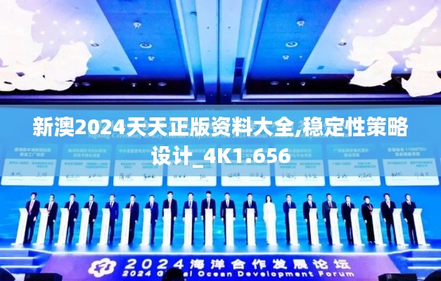 新澳2024天天正版資料大全,穩(wěn)定性策略設(shè)計(jì)_4K1.656