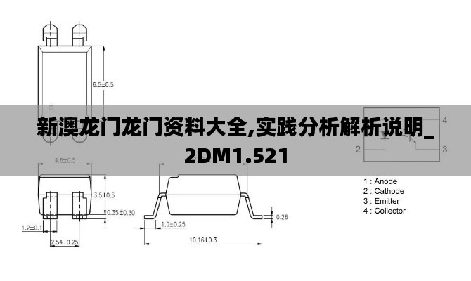 新澳龍門龍門資料大全,實踐分析解析說明_2DM1.521