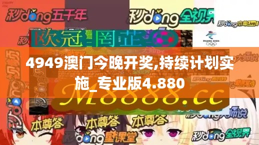 4949澳門今晚開獎,持續(xù)計(jì)劃實(shí)施_專業(yè)版4.880