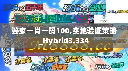 婆家一肖一碼100,實地驗證策略_Hybrid3.334