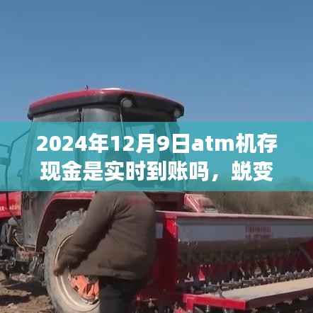 ATM機存現(xiàn)金實時到賬嗎？蛻變的力量與現(xiàn)金流轉(zhuǎn)的成長之路