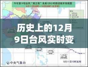 逆風(fēng)中的心靈之旅，歷史上的臺風(fēng)日回顧與臺風(fēng)實時變聲音記錄
