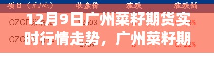 揭秘廣州菜籽期貨市場風云，十二月九日實時行情走勢深度解析