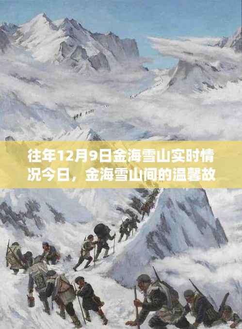 金海雪山奇遇，溫馨故事與實(shí)時(shí)記錄揭秘的奇遇日