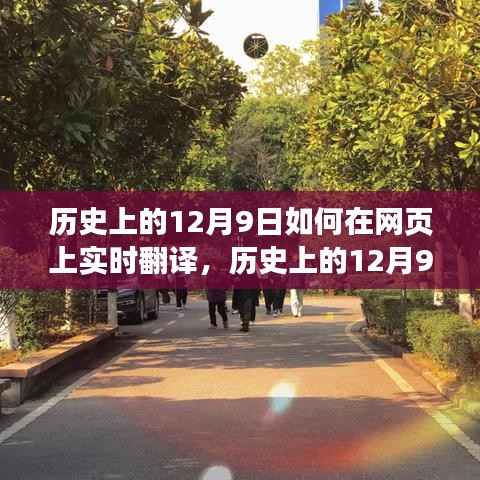 科技加持下的歷史探索，實(shí)時(shí)翻譯下的自然美景之旅在歷史上的十二月九日
