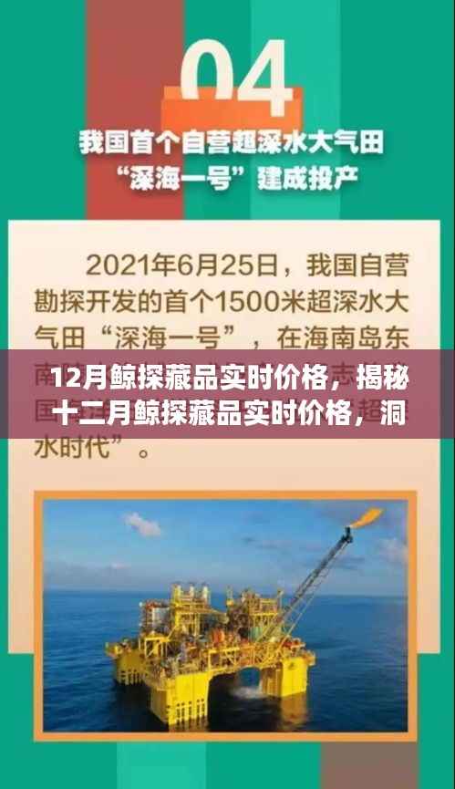 十二月鯨探藏品實(shí)時(shí)價(jià)格揭秘，市場趨勢洞察