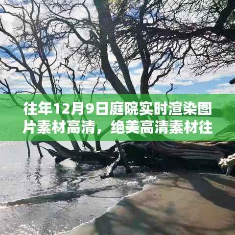 往年12月9日庭院實時渲染高清圖片，領(lǐng)略冬日庭院的獨特魅力