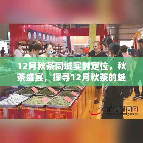 12月秋茶盛宴，實(shí)時(shí)定位探尋秋茶魅力與體驗(yàn)