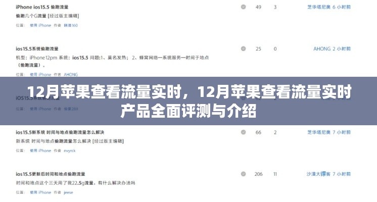 12月蘋果流量實時查看功能全面解析與產(chǎn)品評測