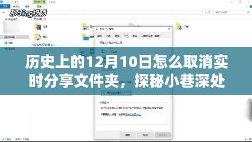探秘歷史奇緣，取消實時分享文件夾背后的故事與小巷深處的寶藏發(fā)現(xiàn)