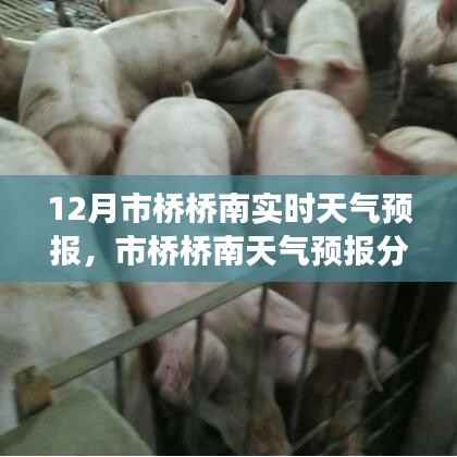 市橋橋南地區(qū)12月實時天氣預報分析與氣候展望