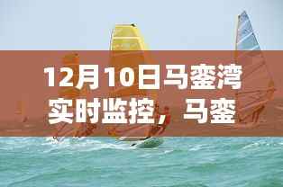 馬鑾灣實時監(jiān)控特寫，守護(hù)溫馨的日常