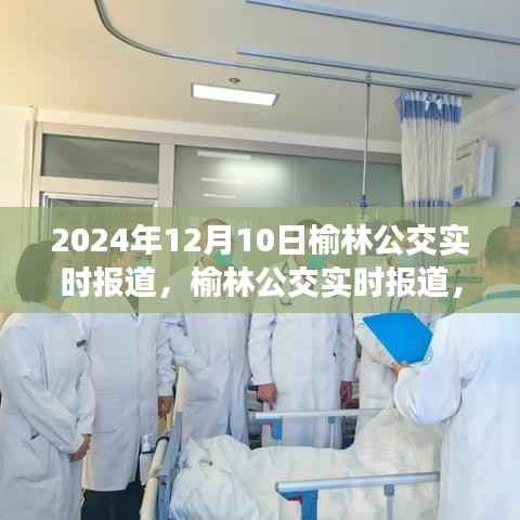 榆林公交實(shí)時(shí)報(bào)道，聚焦交通動(dòng)態(tài)，掌握最新公交資訊