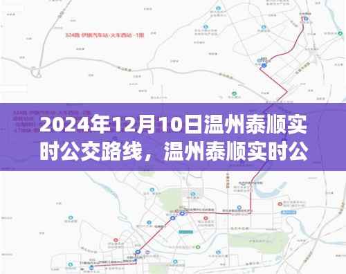 2024年12月10日溫州泰順實時公交路線解析