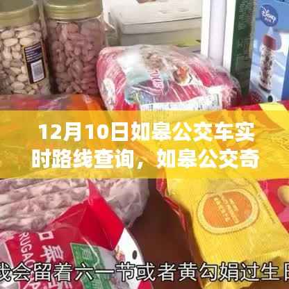 如皋公交奇遇記，暖心之旅的實(shí)時(shí)路線查詢(xún)
