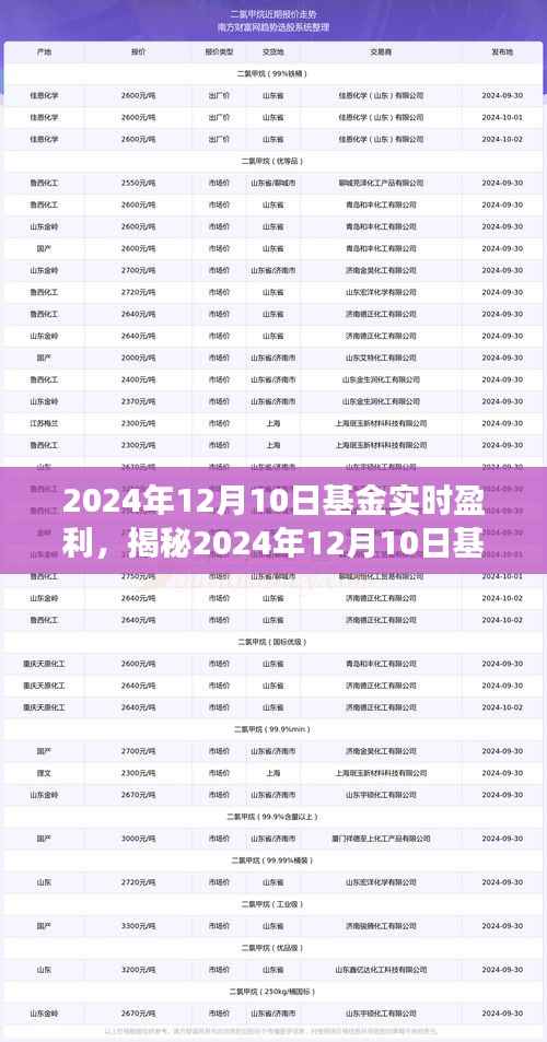 揭秘，2024年基金實(shí)時(shí)盈利情況及市場(chǎng)洞察與投資策略解析