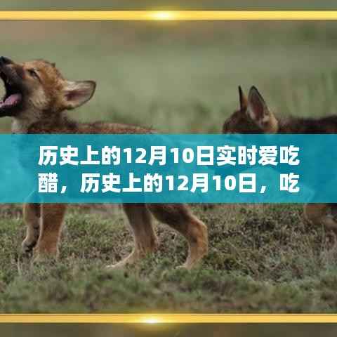 歷史上的12月10日，吃醋文化的深度解讀與個(gè)人觀點(diǎn)