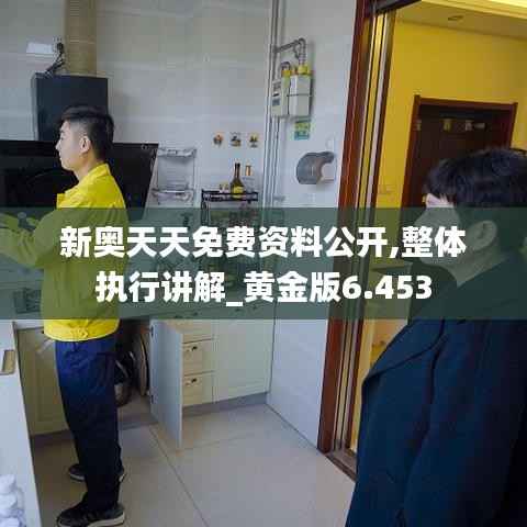 新奧天天免費資料公開,整體執(zhí)行講解_黃金版6.453